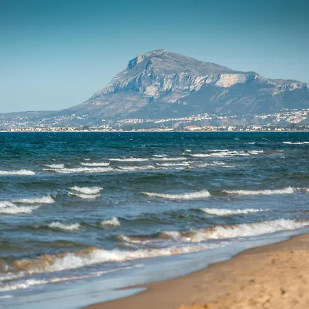 Dendrobium By On Travel Oliva