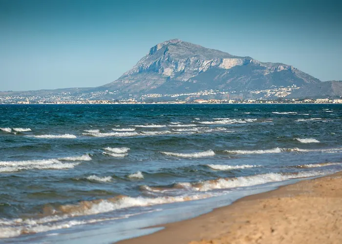 Dendrobium By On Travel Oliva